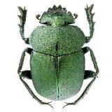 1565245250_square_icon.jpg?=p-