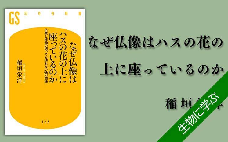 お話し中なぜ仏像はハスの花の上に座っているのか 仏教と植物の切っても切れない66 なぜ仏像はハスの花の上に座っているのか 仏教と植物の切っても切れ