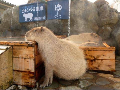 1621508083_rectangle_icon.jpg?