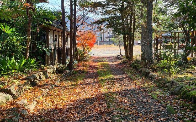 1702535246_rectangle_icon.jpg?