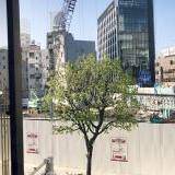 いま居る土地で人間は変わる｜本屋の時間｜辻山良雄 - 幻冬舎plus