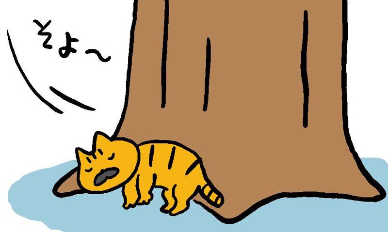 【中古】 猫のファンタジー 猫と私の幸せ物語 ３/幻冬舎コミックス 猫mix幻奇譚とらじ 3 (フラワーコミックスアルファ) | 田村 由美