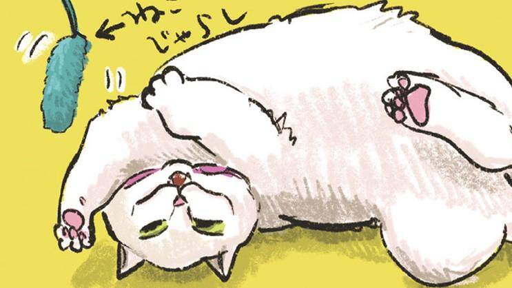 白猫、黒猫、しましま猫｜カマノレイコ - 幻冬舎plus