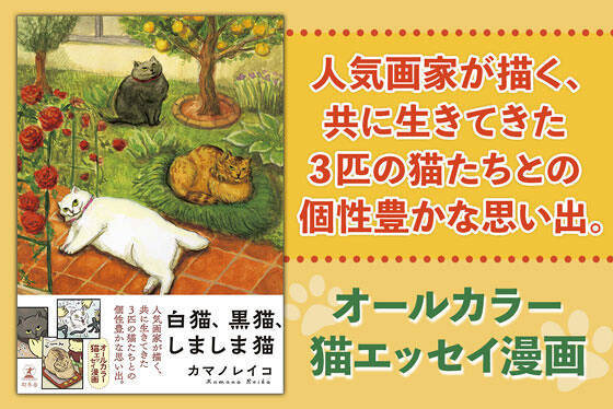 白猫、黒猫、しましま猫