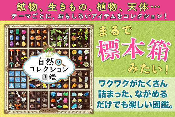 自然のコレクション図鑑