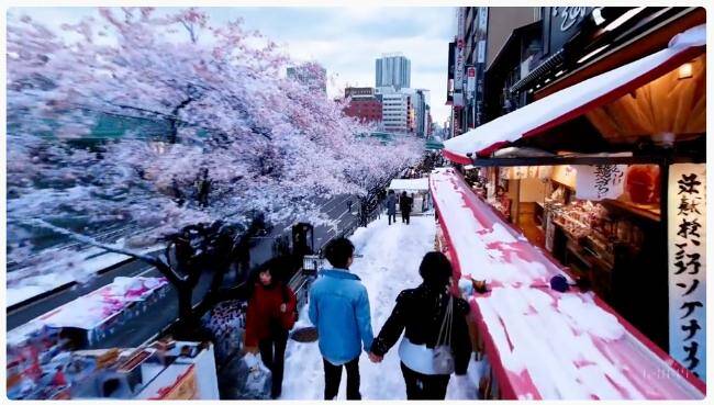 OpenAIの研究者は日本オタク？」最新生成AI“Sora（ソラ）”と“日本語の