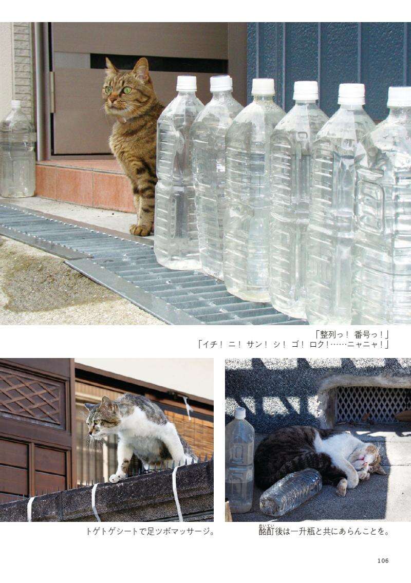 塀の上でも柵の上でも、アクロバットな猫サーカス｜路上ネコ、22の