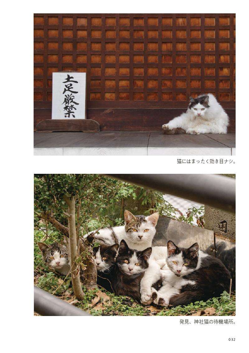 コワモテ看板猫、発見!?―ネオンが灯ると猫も出てくる飲み屋街にて