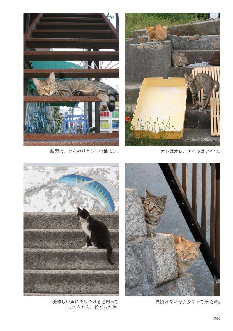 階段下りようとしたら猫、バイクに乗ろうとしても猫｜路上ネコ、22の