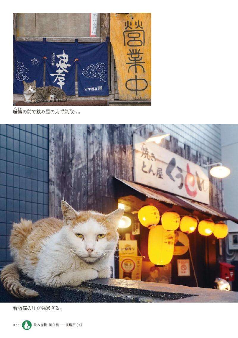 コワモテ看板猫、発見!?―ネオンが灯ると猫も出てくる飲み屋街に コワモテ看板猫、発見!?―ネオンが灯ると猫も出てくる飲み屋街に
