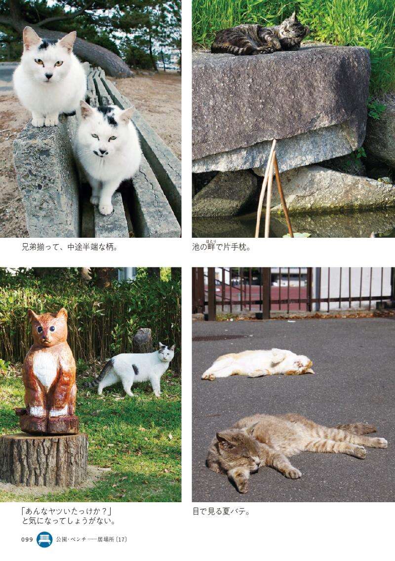 公園でくつろいでると、あちこちから猫の視線が｜路上ネコ、22の居場所