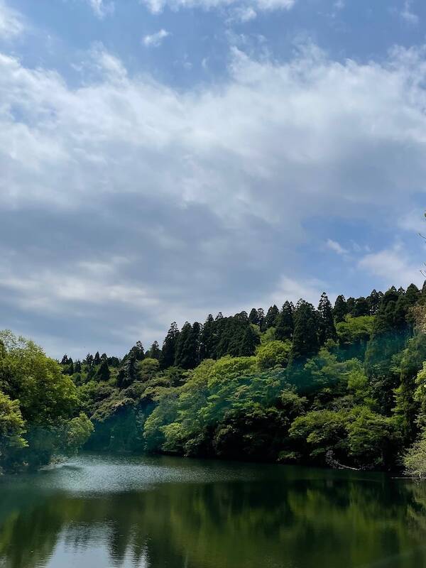 楽天ブックス: 世界のサッカー大百科（5） - 中西哲生