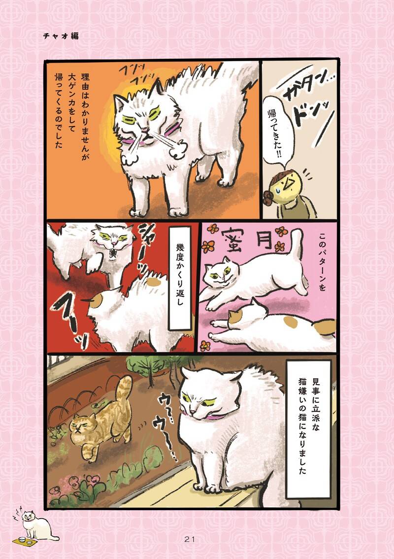 猫たちの友情？｜白猫、黒猫、しましま猫｜カマノレイコ - 幻冬舎plus