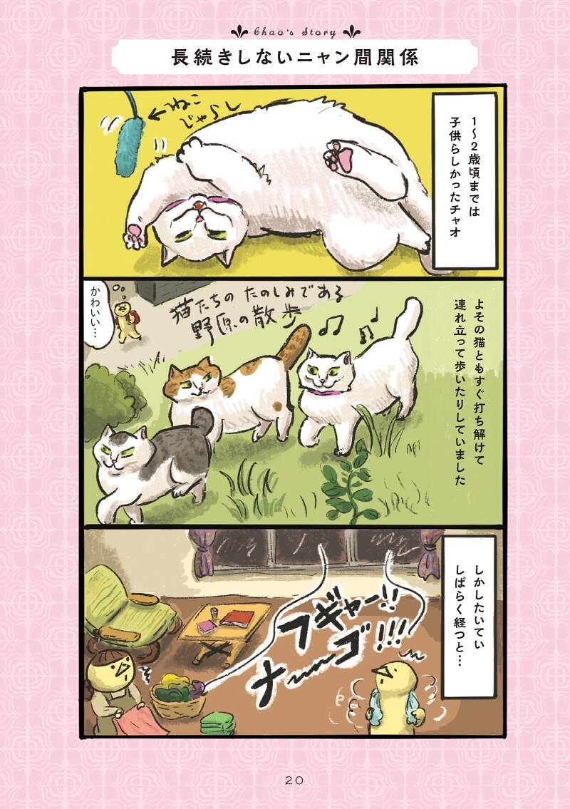 猫たちの友情？｜白猫、黒猫、しましま猫｜カマノレイコ - 幻冬舎plus