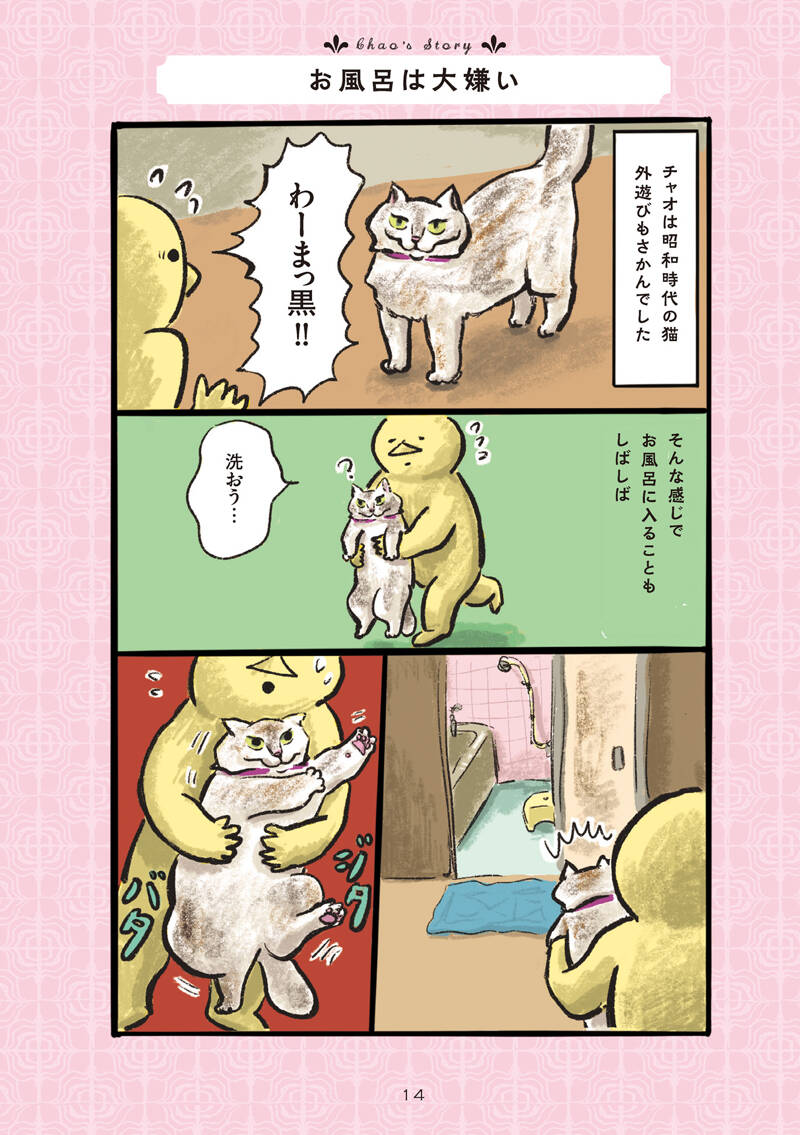 昭和の猫はお風呂が嫌い｜白猫、黒猫、しましま猫｜カマノレイコ