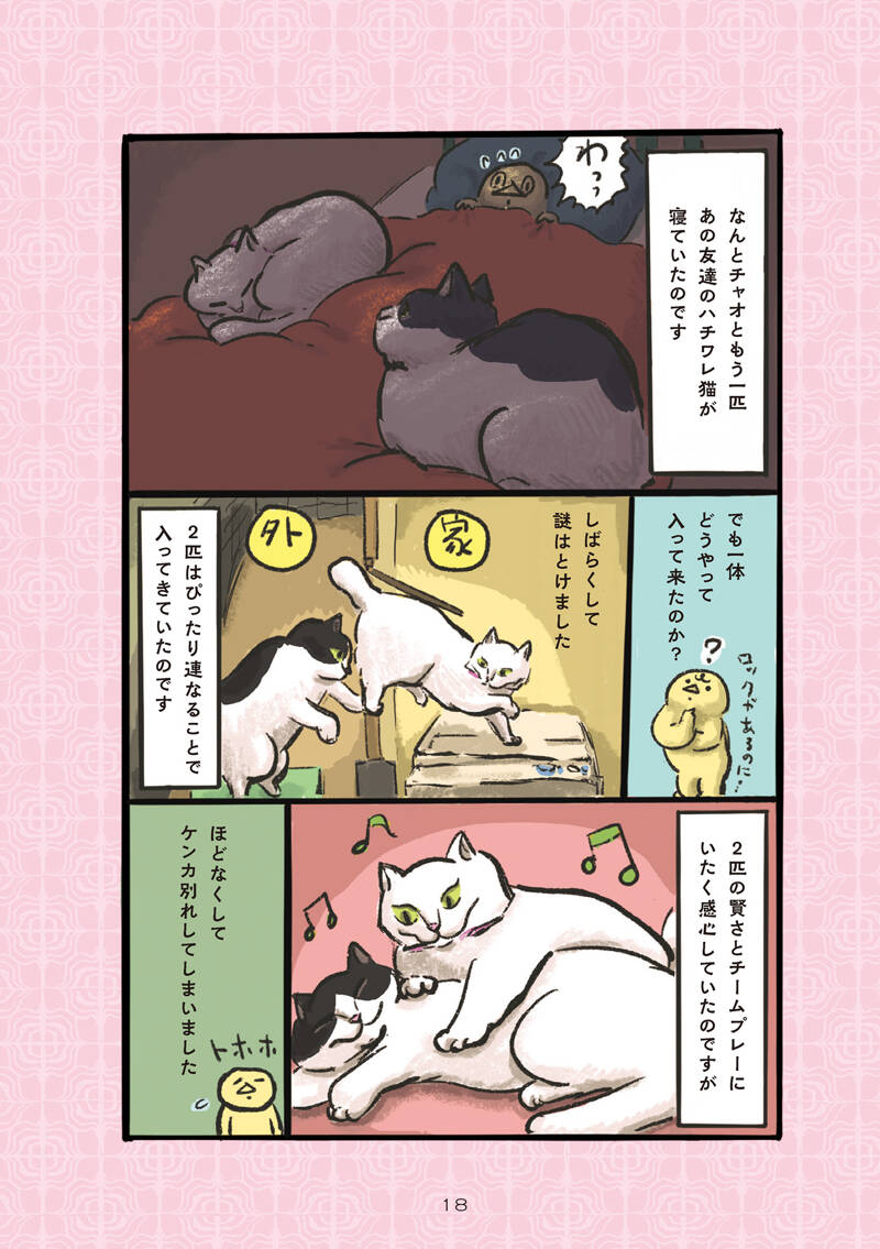 昭和の猫はお風呂が嫌い｜白猫、黒猫、しましま猫｜カマノレイコ