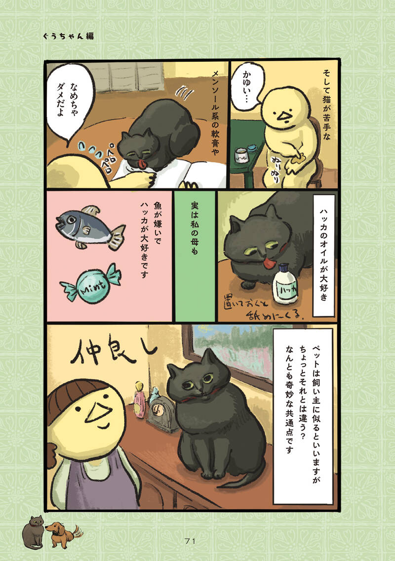 お気に入りはティッシュめし｜白猫、黒猫、しましま猫｜カマノレイコ