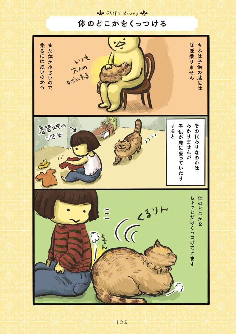 邪魔する猫｜白猫、黒猫、しましま猫｜カマノレイコ - 幻冬舎plus