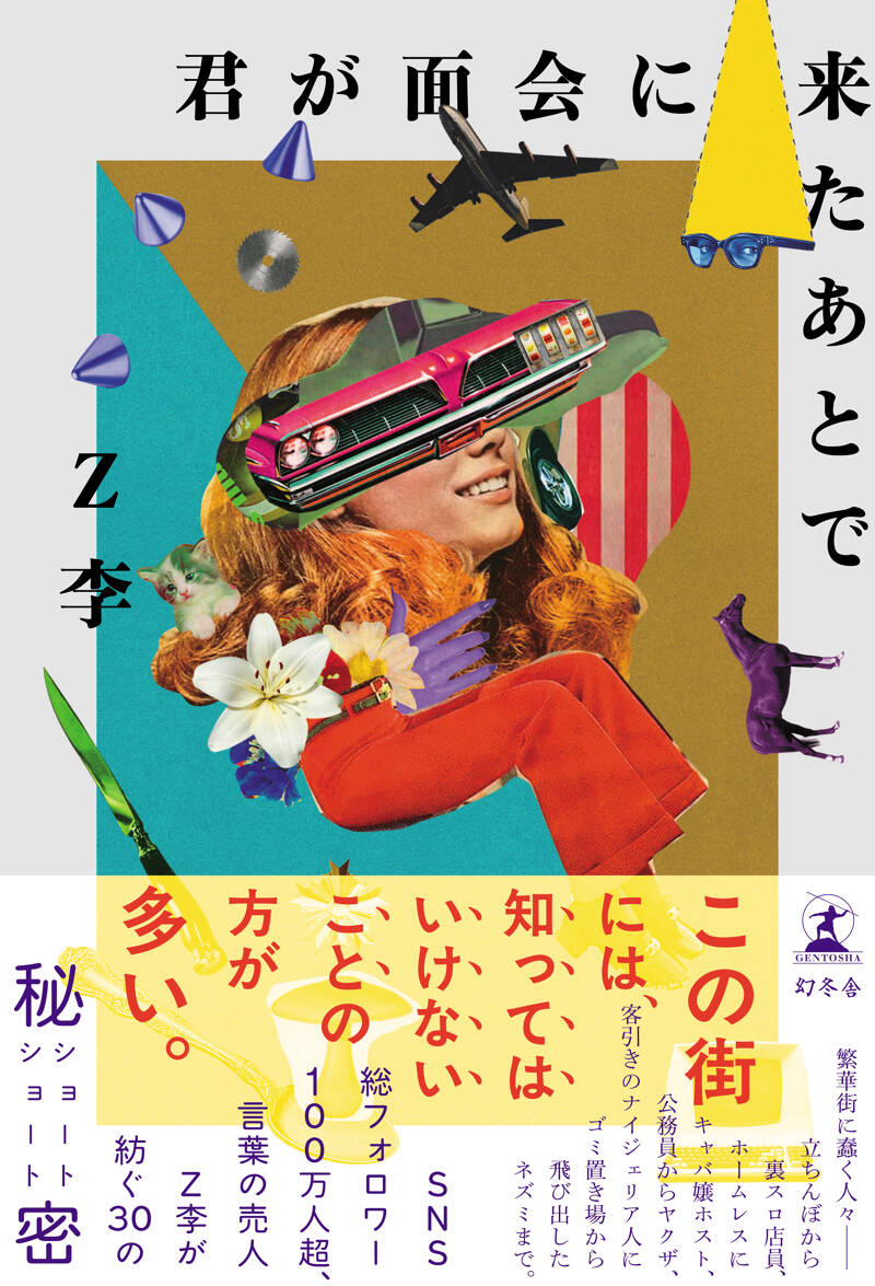 junkJournal✢『隠れ家』 11月19日発売決定！ Z李の新刊『君が面会に来たあとで』の魅力に迫る