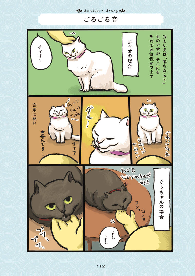 3匹の猫たち｜白猫、黒猫、しましま猫｜カマノレイコ - 幻冬舎plus