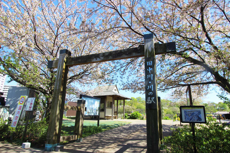 お値下げ中東京公園文庫 全40巻（1〜40） / 欠本なし・良好　第一刷 都内最大の親水公園・仙台堀川公園を歩き、ミスドで30年ぶりにオールド