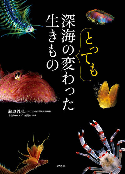 丸山宗利/工藤誠也/島田拓/木野村恭一/小松貴『アリの巣の