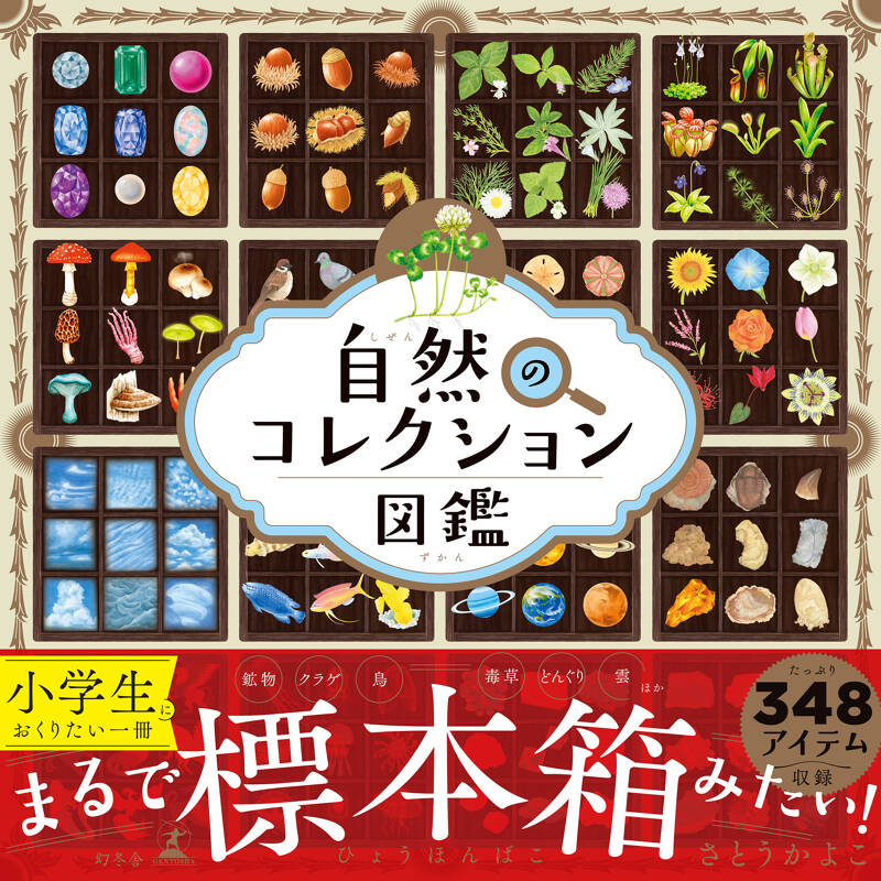 さとうかよこ『自然のコレクション図鑑』 - 幻冬舎plus